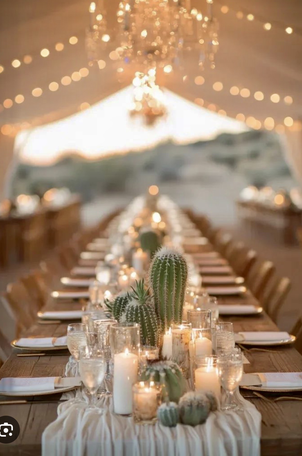 Wedding cookies and favors